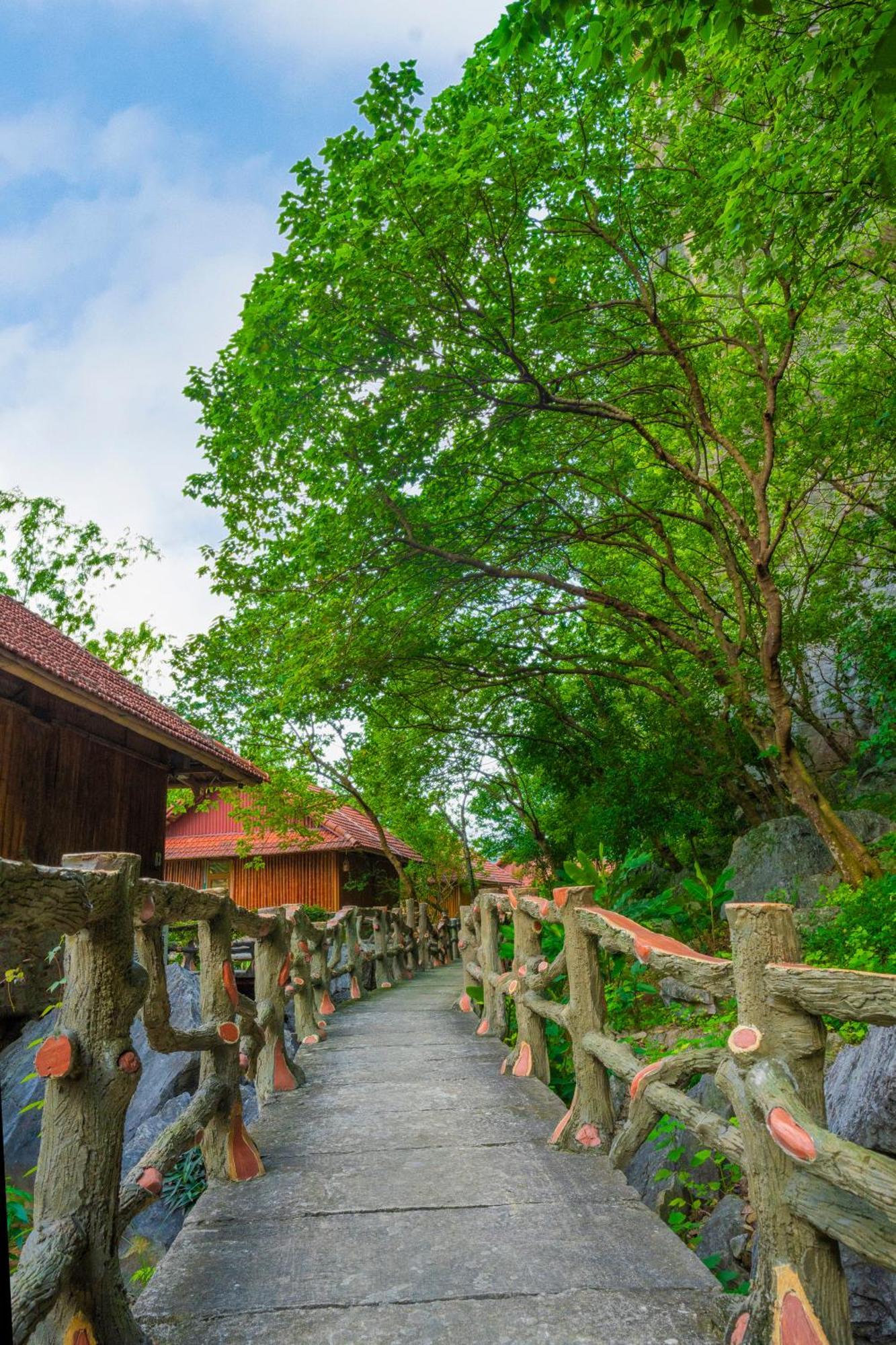 Lotus Field Homestay Ниньбинь Экстерьер фото
