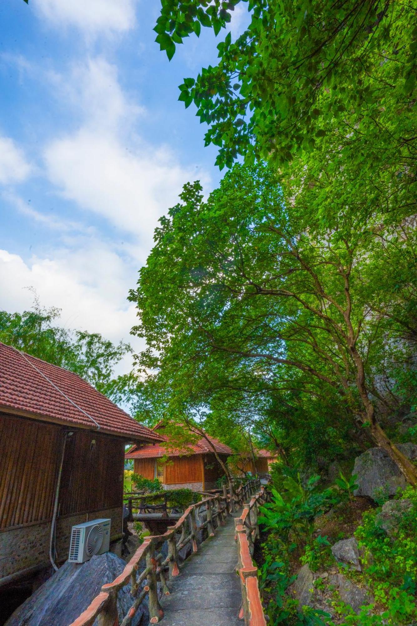 Lotus Field Homestay Ниньбинь Экстерьер фото
